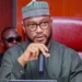Zamfara Has Huge Agric Potential, Says Gov Lawal