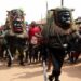 Anger Trails Banning Of Masquerades In Akwa Ibom