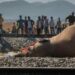 7 Elephants Killed In Indian Train Collision