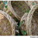 Making Extra Revenue From Weaving Hamper Baskets