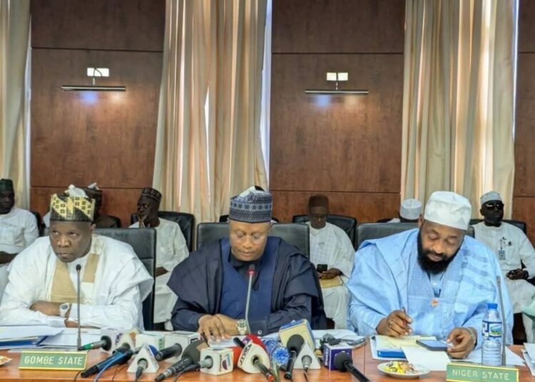 Ethnic Leaders Reject Joint Northern Security Fund 1 northern governors