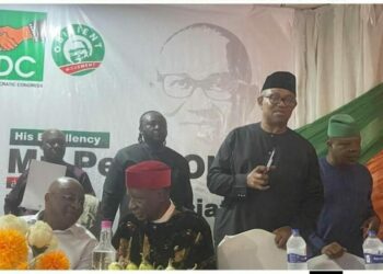JUST-IN: Peter Obi, South-East Senators, Others Join ADC In Enugu