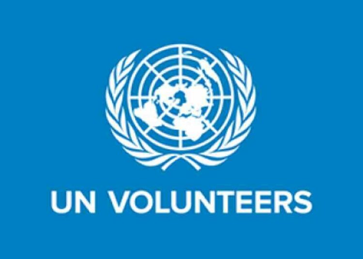 UN Volunteer Group Presents Award To Adamu Wanki 1 unvol.png