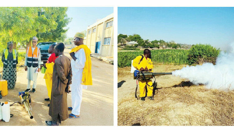 Adamawa Launches Aggressive ‘Fog The Moth’ Campaign To Protect Dry Season Crops 1 Adamawa Launches Aggressive ‘Fog The Moth Campaign