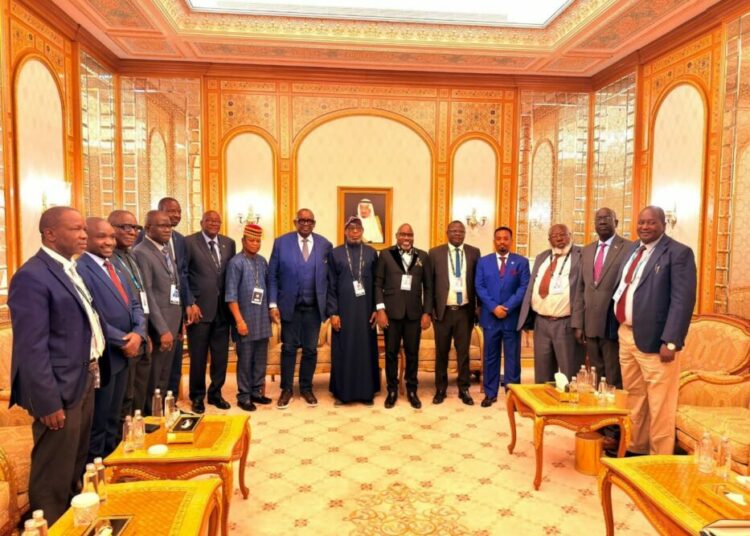 African Ministers Of Solid Minerals Re-elect Alake As AMSG Chairman 1 African Ministers