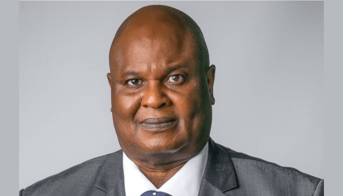 Unlock N43trn Idle Assets To Bridge 2026 Budget Gap, Economist Urges Federal Govt 1 Dr Ayo Teriba