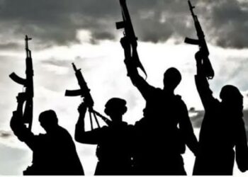 2 Rescued As Troops Foil Kidnapping Attempts In Taraba