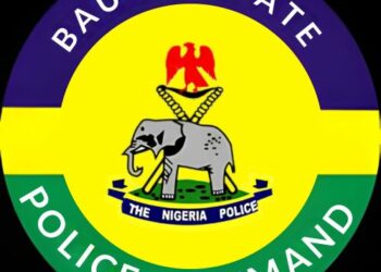 Bauchi Police Arrest Father Over Alleged Sexual Abuse Of 8-yr-old Daughter