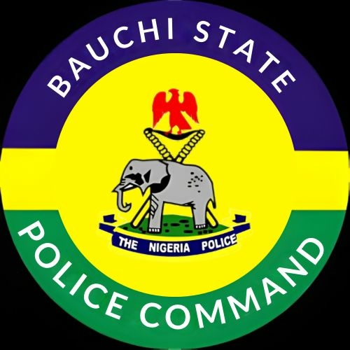 Bauchi Police Arrest Father Over Alleged Sexual Abuse Of 8-yr-old Daughter 1 Bauchi State Police