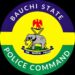 Bauchi Police Arrest Father Over Alleged Sexual Abuse Of 8-yr-old Daughter
