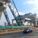 image of Crane In Thailand
