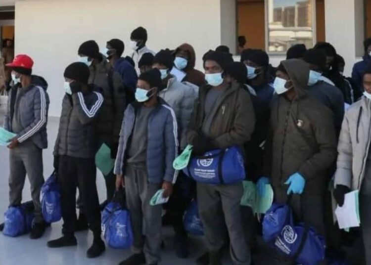 366 Nigerians Deported From Canada As 974 Others Face Removal 1 Deported