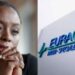Euracare, Adichie: Let Investigation Reveal The Fact 5 Euracare Hospital Denies Negligence In Death Of Adichie’s Son