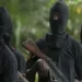 Gunmen Demand N200m Ransom For Kidnapped Medical Doctor, Brother In Edo