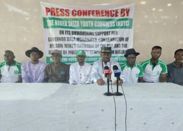 NDYC Calls For Protection Of Opposition Voices, Urges Respect For Democratic Norms 1 IMG 20260104 WA0013