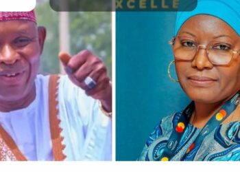 APC France Chapter Defends Governor Yusuf’s Defection