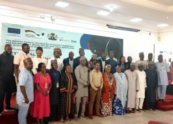 ACF, GIZ Programme To Strengthen Social Safety Nets In Borno, Adamawa