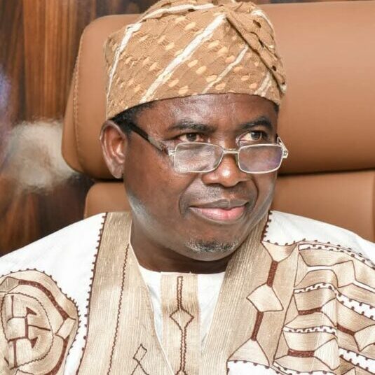 CSOs Back Amupitan, Urges Nigerians To Ignore Distractions 1 INEC Chairman