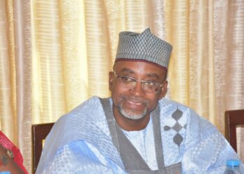 African Democratic Congress Is Nigeria’s Hope – Vice Chairman