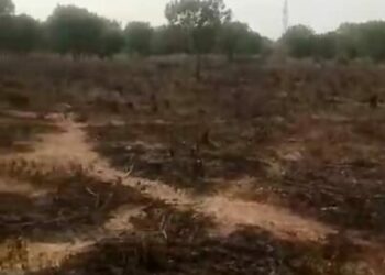 Fire Engulfs Portion Of Kano Cemetery