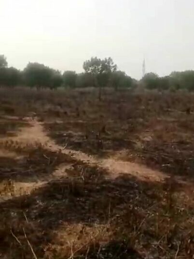 Fire Engulfs Portion Of Kano Cemetery 1 Kano fire