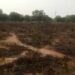 Fire Engulfs Portion Of Kano Cemetery