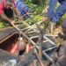 Lagos Fire Service Rescues 84-yr-old From 'Attempted Suicide' Inside Well 5 Lagos Fire Service Rescues 84-yr-old From ‘Attempted Suicide’ Inside Well