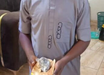 NCoS Foils Attempt To Smuggle Drugs For Inmates At Kano Court