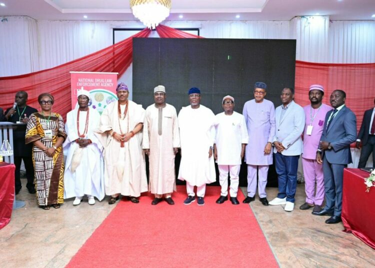 NDLEA’s Alternative Development Project Offers Sustainable Livelihoods To Cannabis Growers —Marwa 1 NDLEA 2