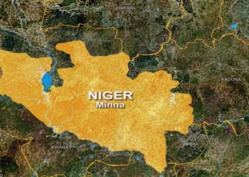 Groups Seek Change In Niger South Senatorial Contest