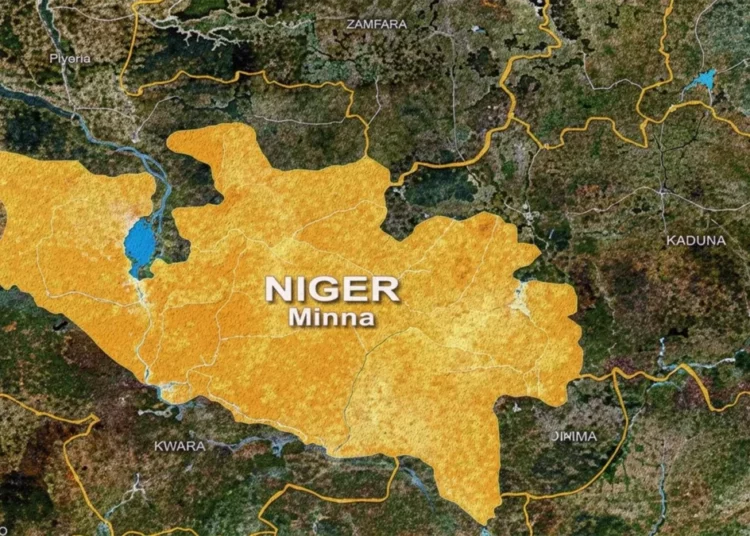 Niger Vaccinates 444,659 Girls Against Human Papillomavirus 1 Niger State map