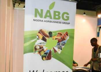 Low Food Prices: Agribusiness Expert Urges Revival Of GMP Policy