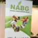 Low Food Prices: Agribusiness Expert Urges Revival Of GMP Policy