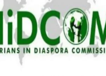 NiDCOM Condemns Killing Of Nigerian By His Brothers In India