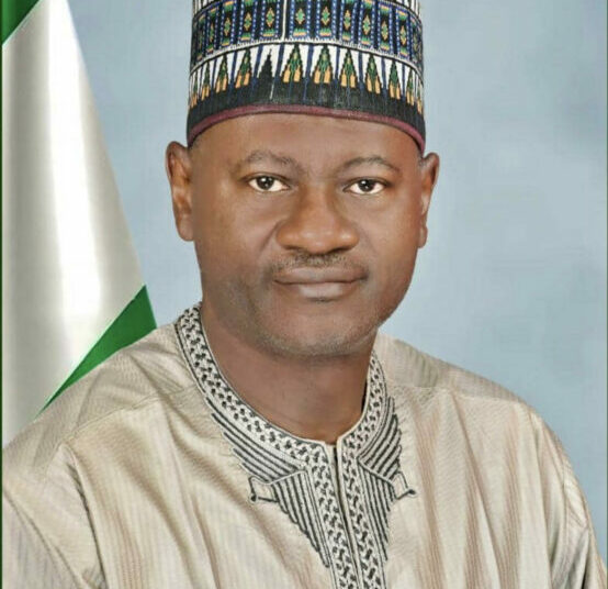 Nigeria’s Stability Lies In Cooperation, Not Conflict — Ochogwu 1 Ochogwu1
