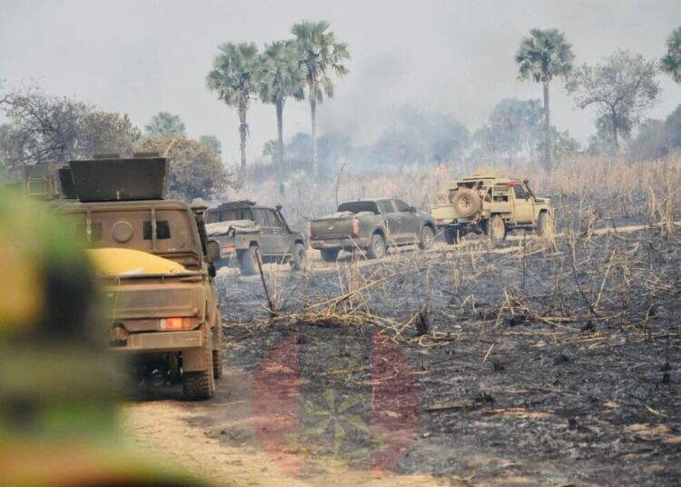 Army Launches 'Operation Igbo Danu', Crushes Terrorists In Kwara 1 Operation Igbo