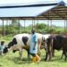 Federal Government Moves To Cut Methane Emissions With National Ranches In 6 States 5 Federal Government Moves To Cut Methane Emissions With National Ranches In 6 States