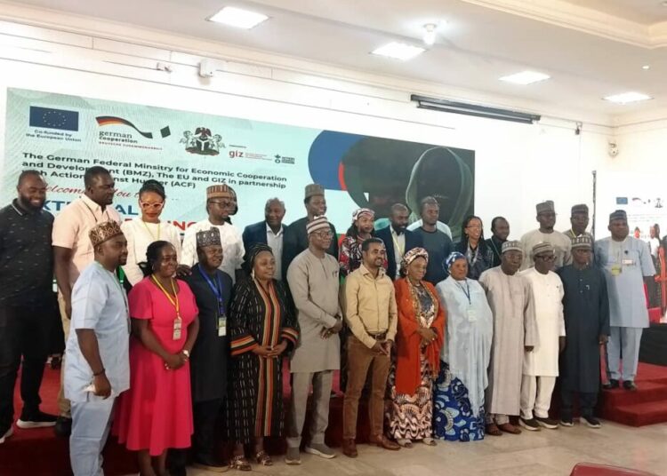 ACF, GIZ Programme To Strengthen Social Safety Nets In Borno, Adamawa 1 Social Safety
