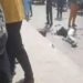 Suspected Phone Thief Set Ablaze By Angry Mob In Kano 5 Suspected Phone Thief Set Ablaze By Angry Mob In Kano