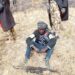 11 Terrorists Surrender As Troops Kill 8, Arrest 2 In Borno 5 11 Terrorists Surrender As Troops Kill 8, Arrest 2 In Borno