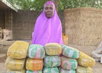 Troops Arrest 65-yr-old Woman Over Alleged Drug Supply To Boko Haram Terrorists
