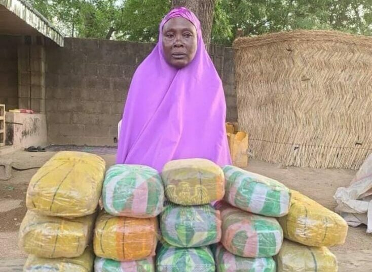 Troops Arrest 65-yr-old Woman Over Alleged Drug Supply To Boko Haram Terrorists 1 Troops 3 1
