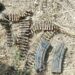 Troops Neutralise 12 Terrorists, Recover Weapons In Foiled Attack On Military Base