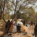 Troops Rescue 13-yr-old Girl, Neutralise Terrorists In Zamfara Forest