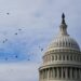 US Senate Moves To Curb Trump’s Military Powers In Venezuela