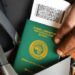 7 Asian Countries Offering e-Visa Options To Nigerians