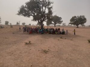 PICTORIAL: Bauchi Pupils Receive Lessons Under Sun, Trees Despite School Renovations 2 WhatsApp Image 2026 01 15 at 18.10.26