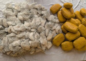 PICTORIAL: Police Foil Attempt To Traffick Explosive-making Materials In Kano, Recover Detonators