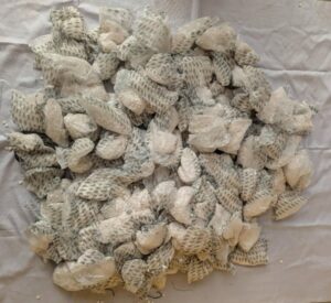 PICTORIAL: Police Foil Attempt To Traffick Explosive-making Materials In Kano, Recover Detonators 5 WhatsApp Image 2026 01 15 at 23.41.28