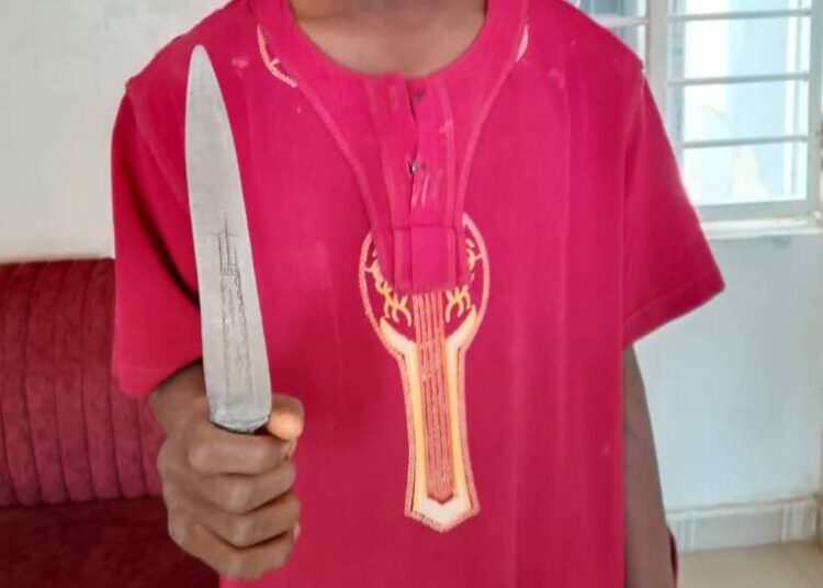 Police Arrest 14 Suspected Sara-Suka Thugs In Bauchi 1 WhatsApp Image 2026 01 19 at 13.31.09